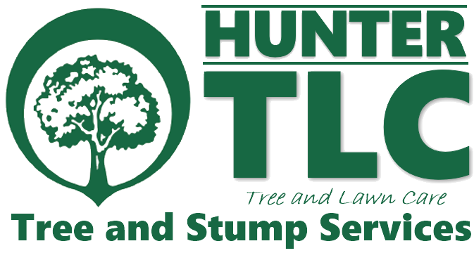Hunter - TLC